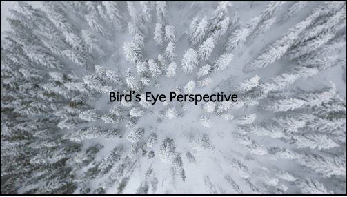 Bird’s Eye Perspective​