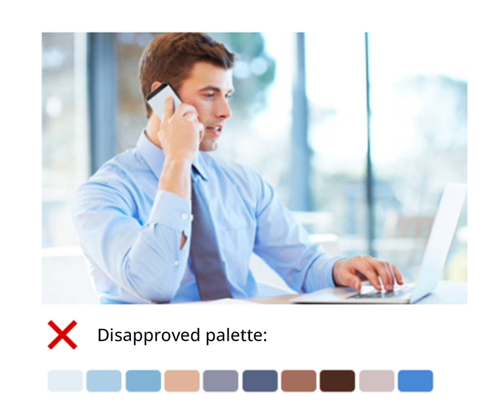 Disapproved palette